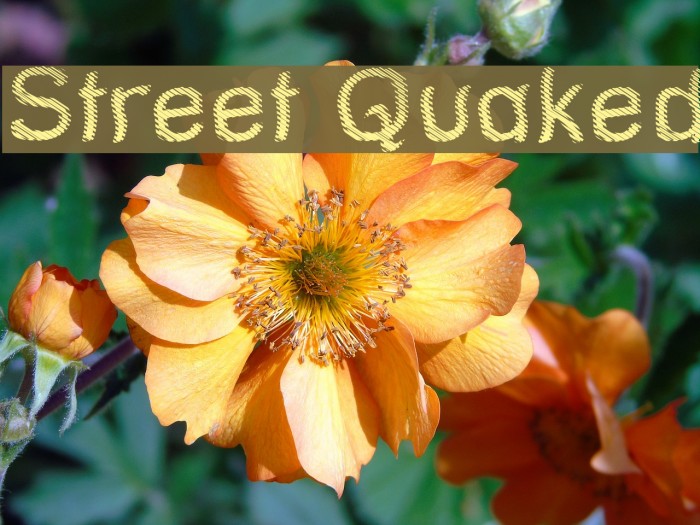 Street Quaked Font examples