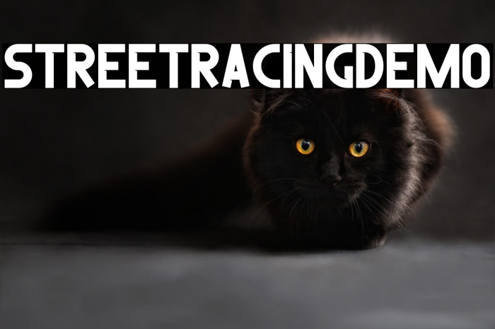 Street Racing Demo Example 3