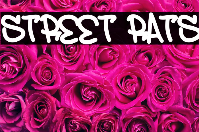 Street Rats Example 1