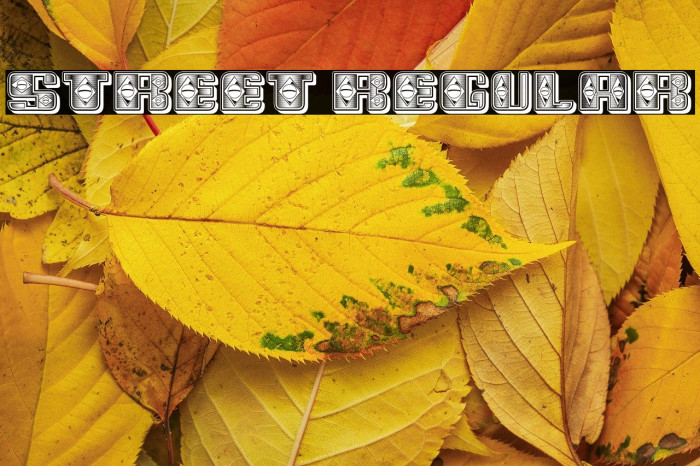 Street Regular Example 2