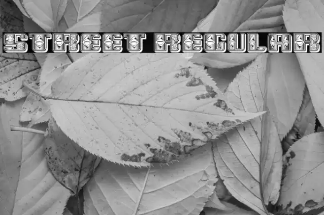 Street Regular Font examples