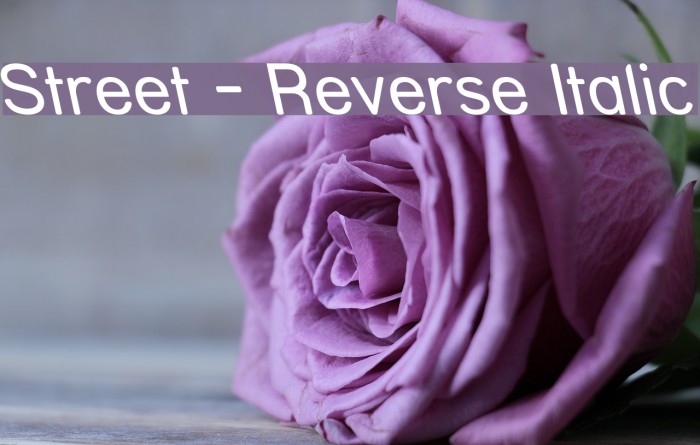 Street - Reverse Italic Font examples