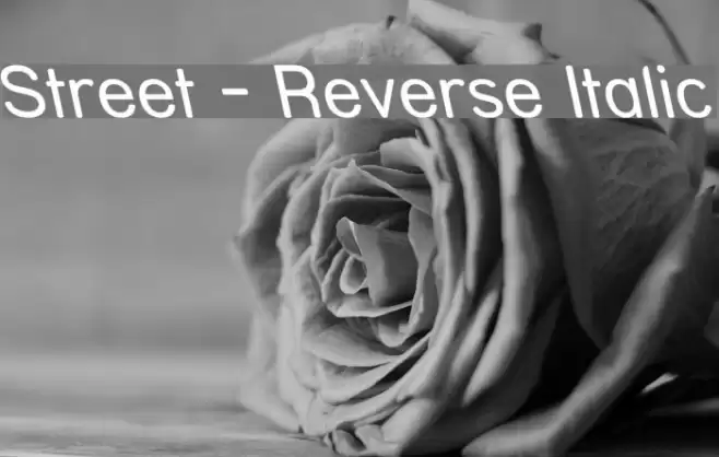 Street - Reverse Italic Шрифта examples