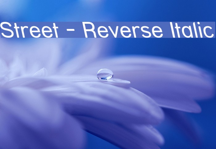 Street - Reverse Italic Font examples