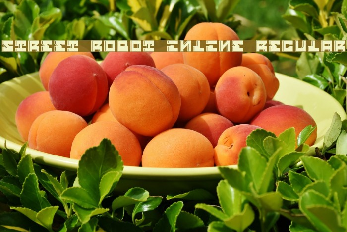 Street Robot Inline Regular Example 1