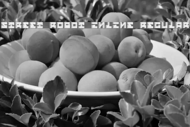 Street Robot Inline Regular Font examples