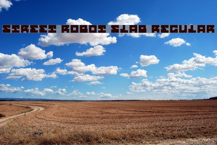 Street Robot Slab Regular Font examples