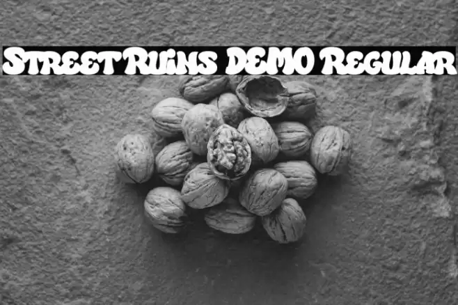 Street Ruins DEMO Regular Font examples