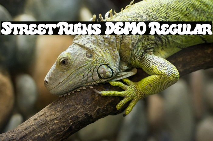 Street Ruins DEMO Regular Example 2