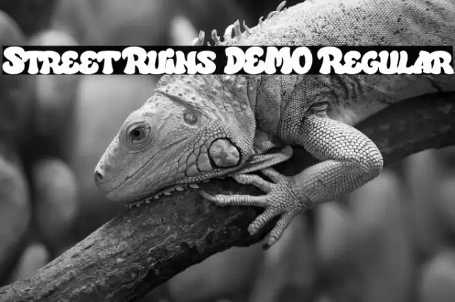 Street Ruins DEMO Regular Font examples