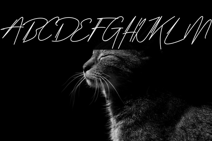 Street Rush Example 2