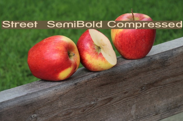 Street SemiBold Compressed Font examples