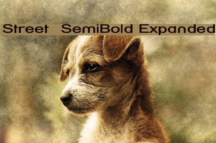 Street SemiBold Expanded Font examples