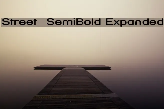 Street  SemiBold Expanded Example 2