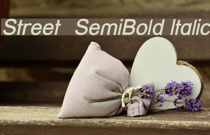Street SemiBold Italic Font examples