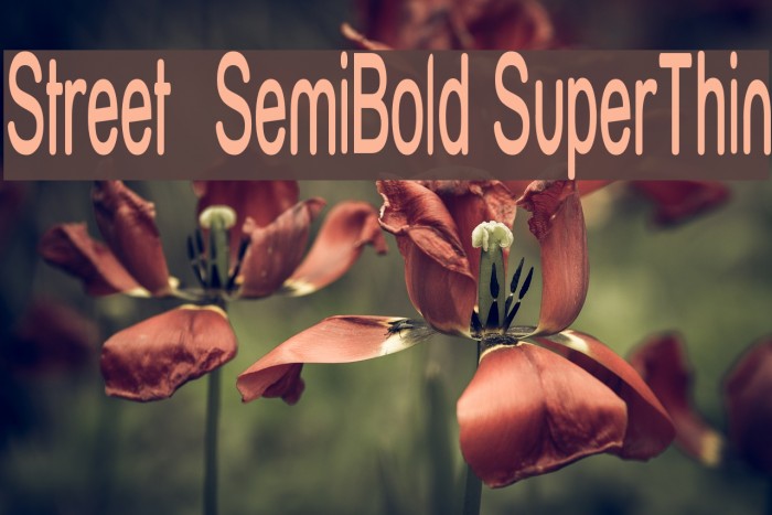 Street SemiBold SuperThin Font examples