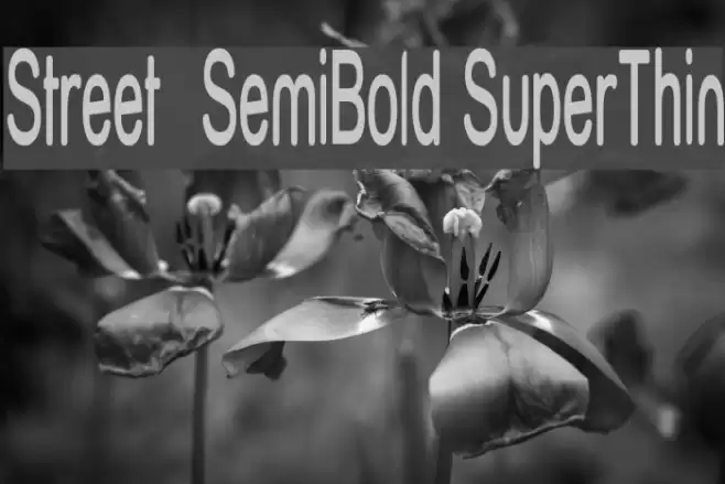 Street  SemiBold SuperThin Font examples