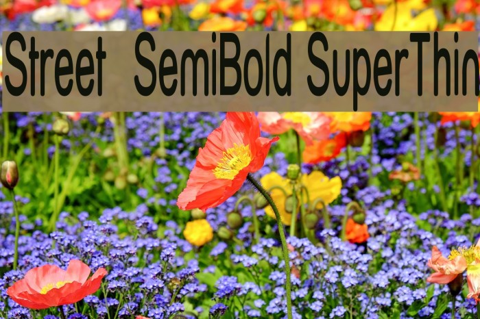 Street SemiBold SuperThin Font examples