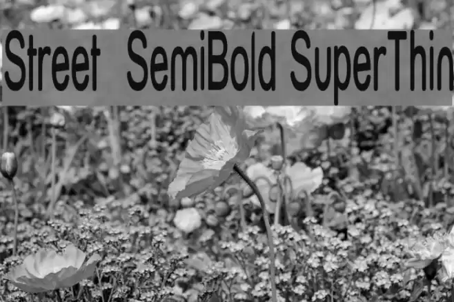 Street  SemiBold SuperThin Font examples