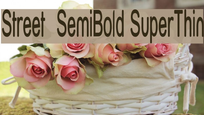 Street SemiBold SuperThin Font examples