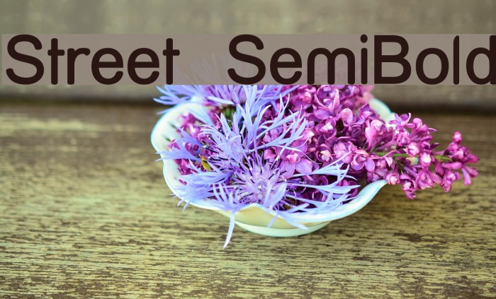 Street SemiBold Schriftart examples