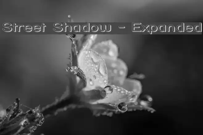 Street Shadow - Expanded Font examples