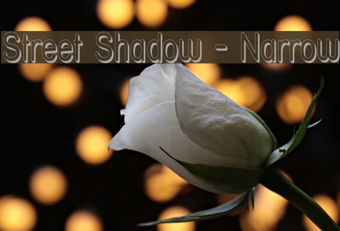 Street Shadow - Narrow Font examples