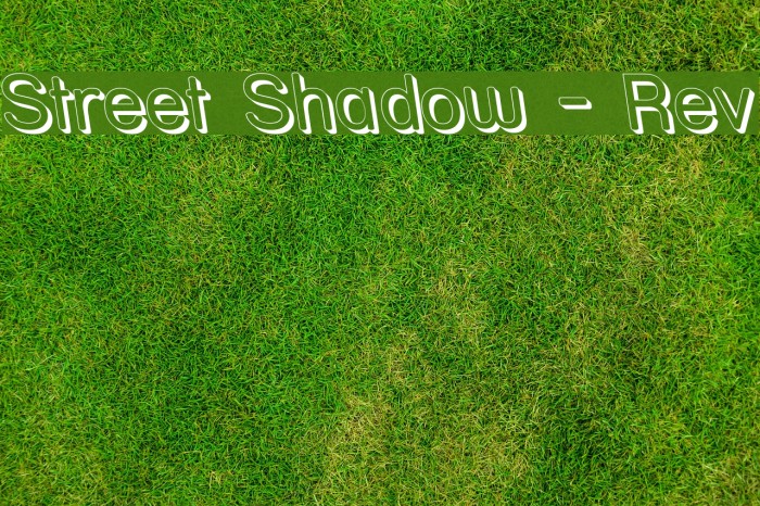 Street Shadow - Rev Font examples