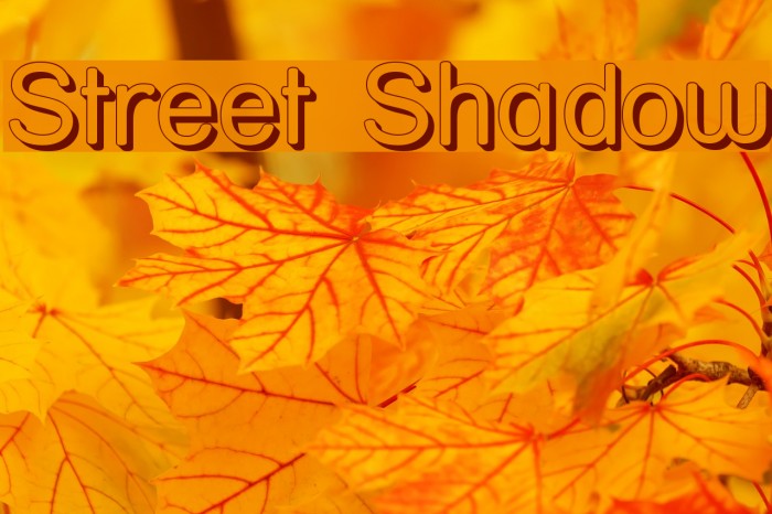 Street Shadow Font examples
