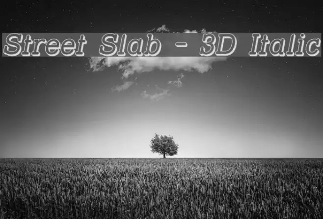 Street Slab - 3D Italic Polices examples