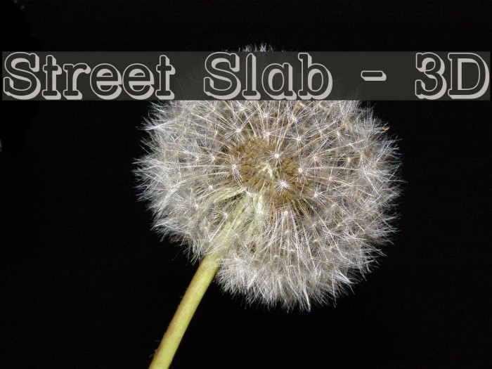 Street Slab - 3D Font examples