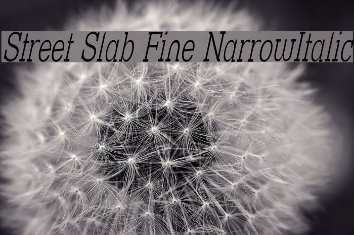 Street Slab Fine NarrowItalic Font examples