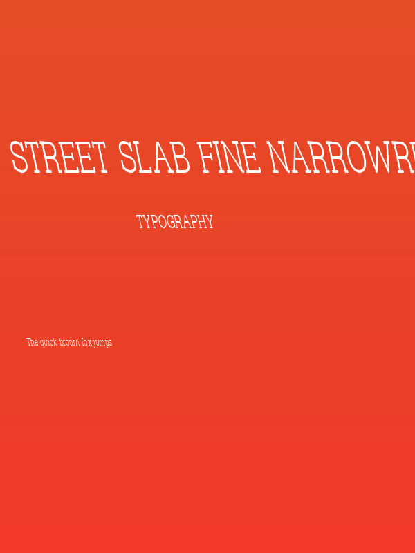 Street Slab Fine NarrowRev Poster
