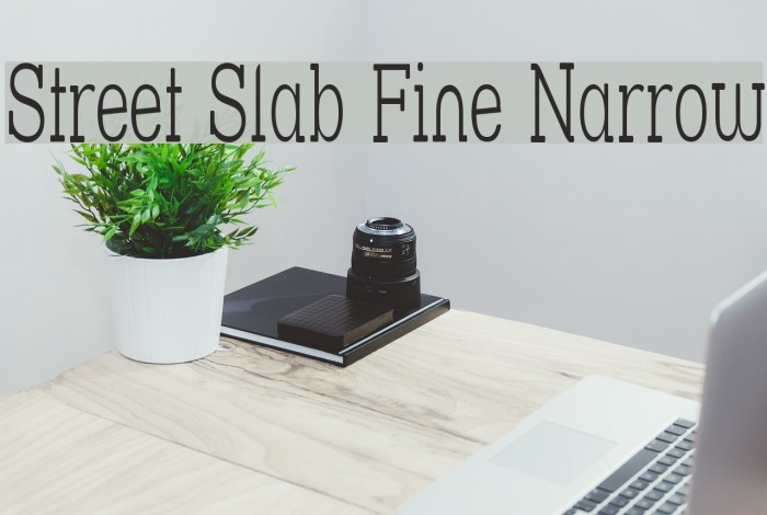 Street Slab Fine Narrow Font examples