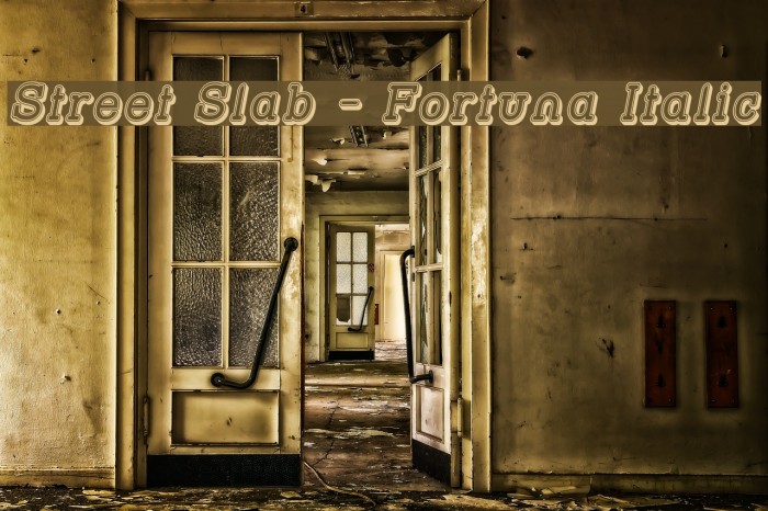 Street Slab - Fortuna Italic Font examples