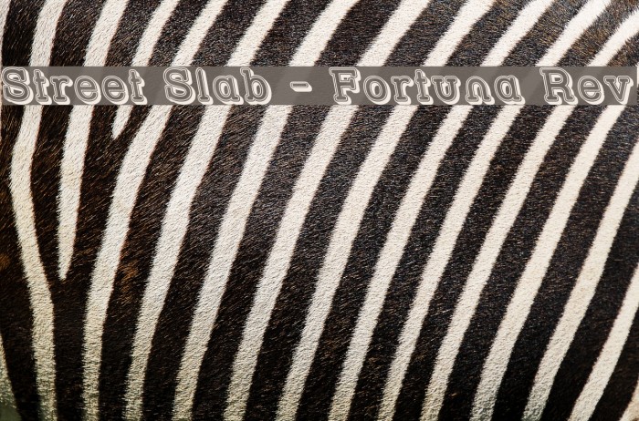 Street Slab - Fortuna Rev Font examples