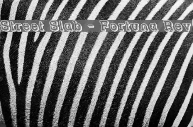 Street Slab - Fortuna Rev Schriftart examples