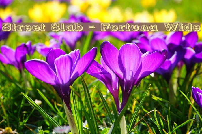 Street Slab - Fortuna Wide Font examples