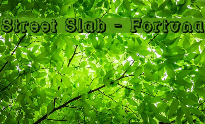 Street Slab - Fortuna Font examples