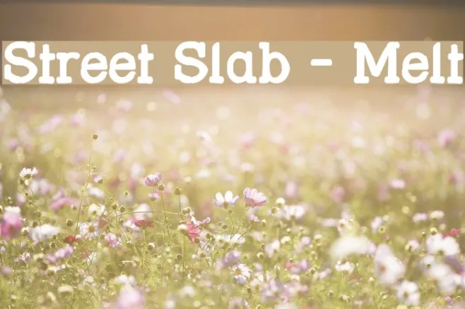 Street Slab - Melt Example 2