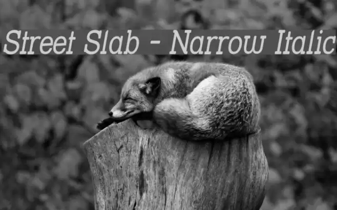 Street Slab - Narrow Italic Font examples
