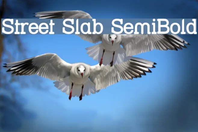 Street Slab SemiBold Example 3