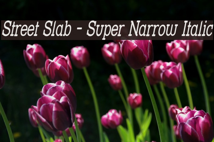 Street Slab - Super Narrow Italic Font examples