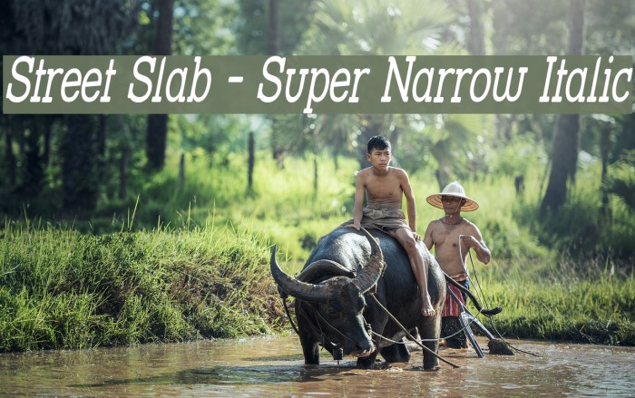 Street Slab - Super Narrow Italic Font examples