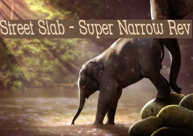 Street Slab - Super Narrow Rev Example 2