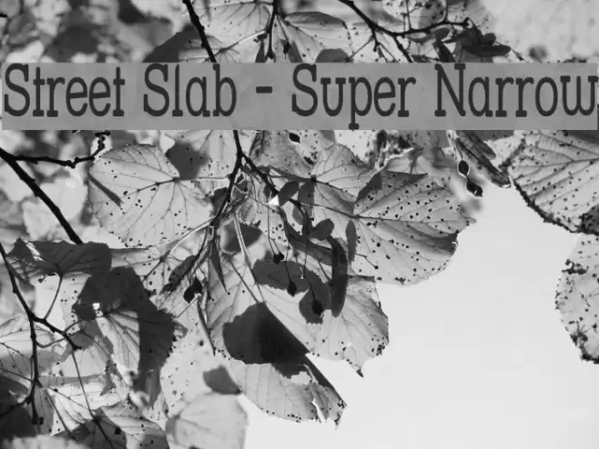 Street Slab - Super Narrow Font examples