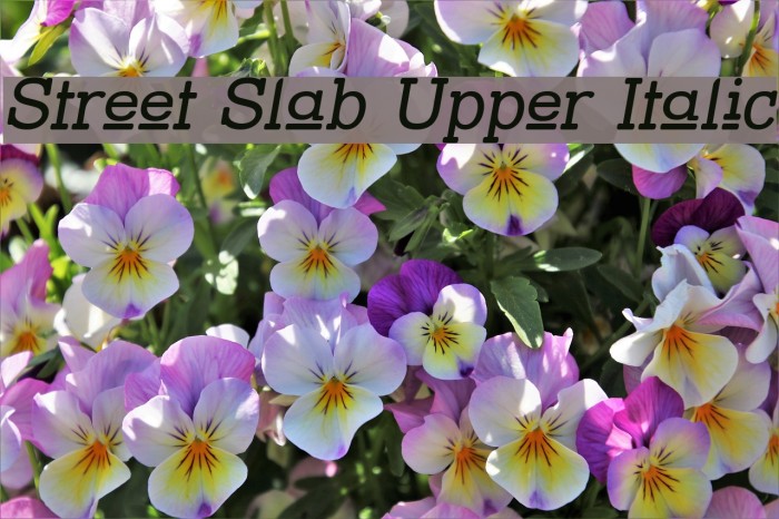 Street Slab Upper Italic Font examples