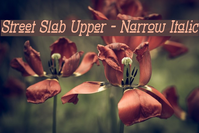 Street Slab Upper - Narrow Italic Font examples