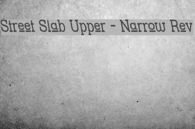 Street Slab Upper - Narrow Rev Font examples