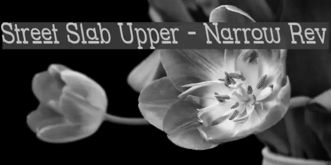 Street Slab Upper - Narrow Rev Font examples